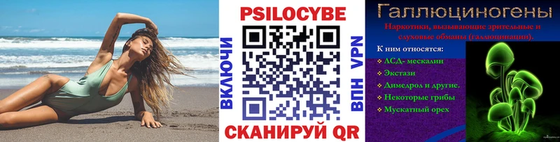 наркошоп  Чадан  Галлюциногенные грибы MAGIC MUSHROOMS 