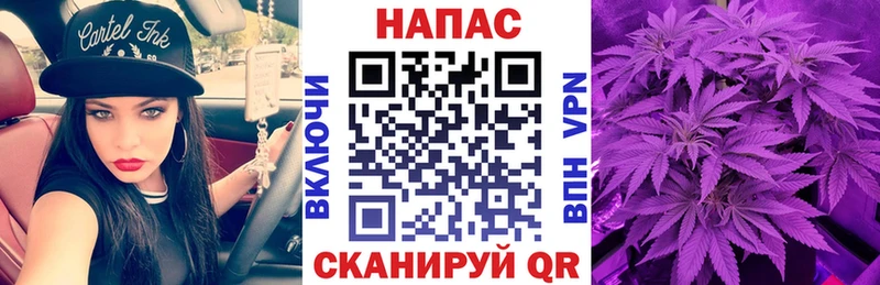 МАРИХУАНА индика  Чадан 